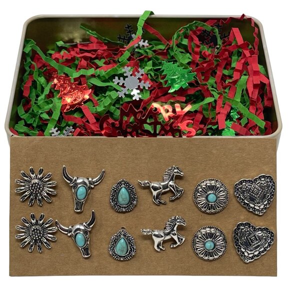 Western Earrings in Christmas Gift Box for Women and Girls - Cowgirl Earring - Picture 1 of 11